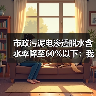市政污泥电渗透脱水含水率降至60%以下：我试了6台设备才搞定的3个野路子（图2）