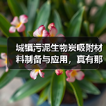 城镇污泥生物炭吸附材料制备与应用，真有那么神？（图3）