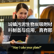 城镇污泥生物炭吸附材料制备与应用，真有那么神？（图4）