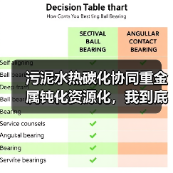污泥水热碳化协同重金属钝化资源化，我到底错在了哪？