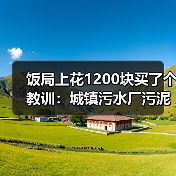饭局上花1200块买了个教训：城镇污水厂污泥与燃煤锅炉掺烧发电技术（图4）