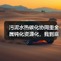 污泥水热碳化协同重金属钝化资源化，我到底错在了哪？（图4）