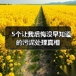 5个让我后悔没早知道的污泥处理真相（图3）