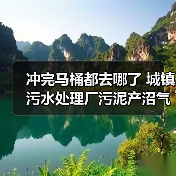冲完马桶都去哪了 城镇污水处理厂污泥产沼气与沼渣利用（图4）