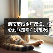 渭南市污水厂改造，核心到底是啥？别扯没用的（图4）