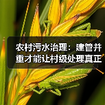农村污水治理：建管并重才能让村级处理真正见效