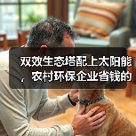 双效生态塔配上太阳能，农村环保企业省钱的新路子