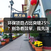 环保项目占比突破25%？别急着鼓掌，我先泼盆冷水（图4）