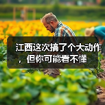 江西这次搞了个大动作，但你可能看不懂