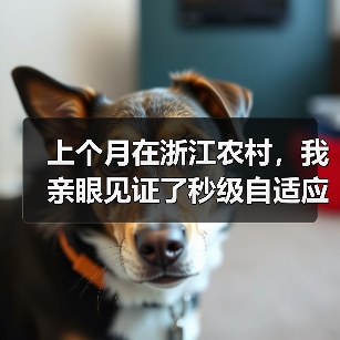 上个月在浙江农村，我亲眼见证了秒级自适应调节的污水系统（图2）