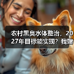 农村黑臭水体整治，2027年目标能实现？我赌能，但有条件（图3）