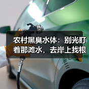 农村黑臭水体：别光盯着那滩水，去岸上找根子（图3）