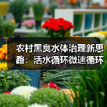 农村黑臭水体治理新思路：活水循环微速循环流水持续高效净化，看完少走3年弯路