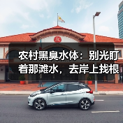 农村黑臭水体：别光盯着那滩水，去岸上找根子（图2）