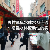 农村黑臭水体水系连通：增强水体流动性的实战打法（图4）