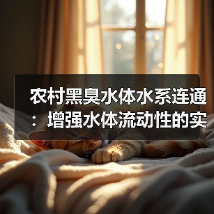 农村黑臭水体水系连通：增强水体流动性的实战打法（图3）