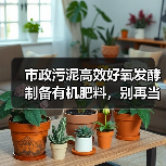市政污泥高效好氧发酵制备有机肥料，别再当废物扔了
