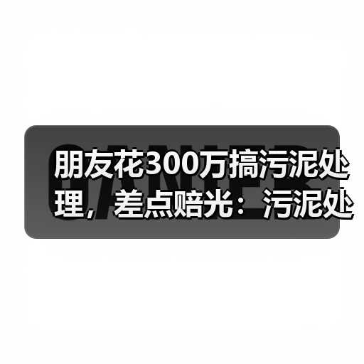 朋友花300万搞污泥处理，差点赔光：污泥处理处置资源化利用及减污降碳协同技术（图4）