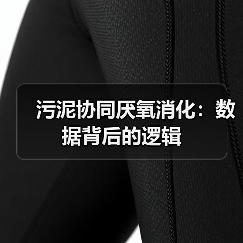 污泥协同厌氧消化：数据背后的逻辑