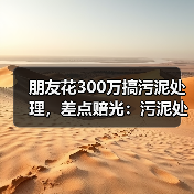 朋友花300万搞污泥处理，差点赔光：污泥处理处置资源化利用及减污降碳协同技术（图2）