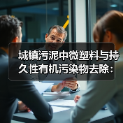 城镇污泥中微塑料与持久性有机污染物去除：一个被忽视的协同问题