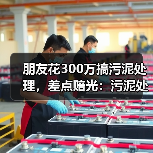 朋友花300万搞污泥处理，差点赔光：污泥处理处置资源化利用及减污降碳协同技术
