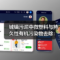 城镇污泥中微塑料与持久性有机污染物去除：一个被忽视的协同问题（图4）