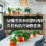 城镇污泥中微塑料与持久性有机污染物去除：一个被忽视的协同问题（图2）