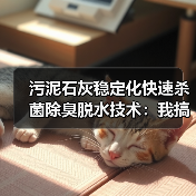污泥石灰稳定化快速杀菌除臭脱水技术：我搞砸三次才看懂的真相（图4）