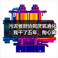 污泥餐厨协同厌氧消化：我干了五年，掏心窝子说几点（图4）