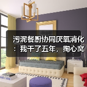 污泥餐厨协同厌氧消化：我干了五年，掏心窝子说几点（图3）