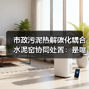 市政污泥热解碳化耦合水泥窑协同处置：是噻头还是真环保？（图3）