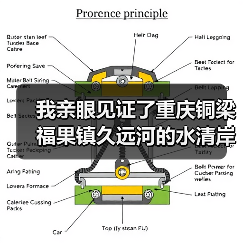 我亲眼见证了重庆铜梁福果镇久远河的水清岸绿，但过程有点意外（图4）