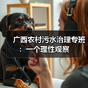 广西农村污水治理专班：一个理性观察