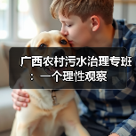 广西农村污水治理专班：一个理性观察（图2）