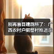 别再盲目建厕所了：广西农村户厕整村推进示范项目建设指南印发实施（图3）
