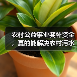 农村公益事业奖补资金，真的能解决农村污水问题吗？（图2）
