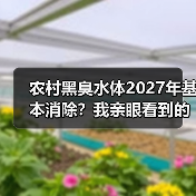农村黑臭水体2027年基本消除？我亲眼看到的改变比政策更震撼（图4）
