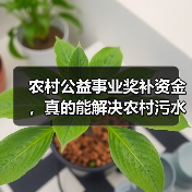 农村公益事业奖补资金，真的能解决农村污水问题吗？（图3）