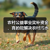 农村公益事业奖补资金，真的能解决农村污水问题吗？（图4）