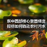 东中西部核心装置梯度招标如何撬动农村污水治理？（图4）