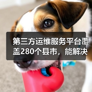 第三方运维服务平台覆盖280个县市，能解决什么问题？
