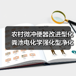 农村微冲便器改进型化粪池电化学强化型净化槽，真能省心不？（图4）