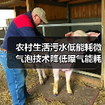 农村生活污水低能耗微气泡技术降低曝气能耗50%：一个污水工程老司机的踩坑记录