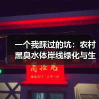 一个我踩过的坑：农村黑臭水体岸线绿化与生态缓冲带建设
