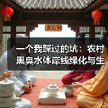 一个我踩过的坑：农村黑臭水体岸线绿化与生态缓冲带建设（图3）