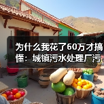 为什么我花了60万才搞懂：城镇污水处理厂污泥两段式深度脱水设备（图4）