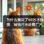 为什么我花了60万才搞懂：城镇污水处理厂污泥两段式深度脱水设备