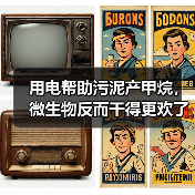 用电帮助污泥产甲烷，微生物反而干得更欢了（图4）