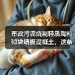 市政污泥烧制轻质陶粒砌块墙板混凝土，这条路走得通吗（图2）
